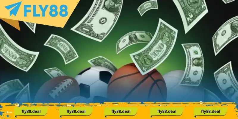 Đặt cược kèo châu Âu tại sảnh thể thao Fly88 Đặt cược kèo châu Âu tại sảnh thể thao Fly88